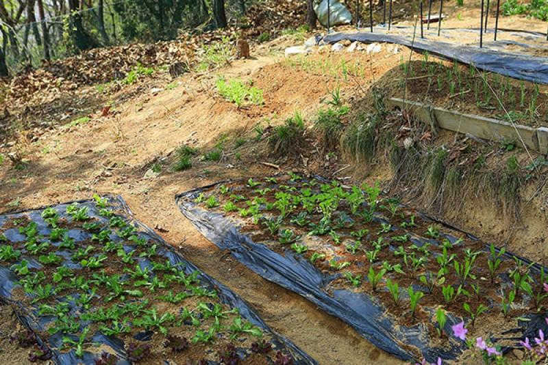 Seokmodo Stella Pension-22