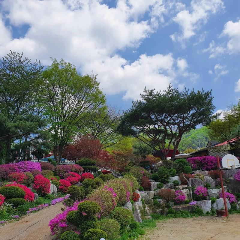 Gapyeong Flower Muji Pension (near the valley)-95