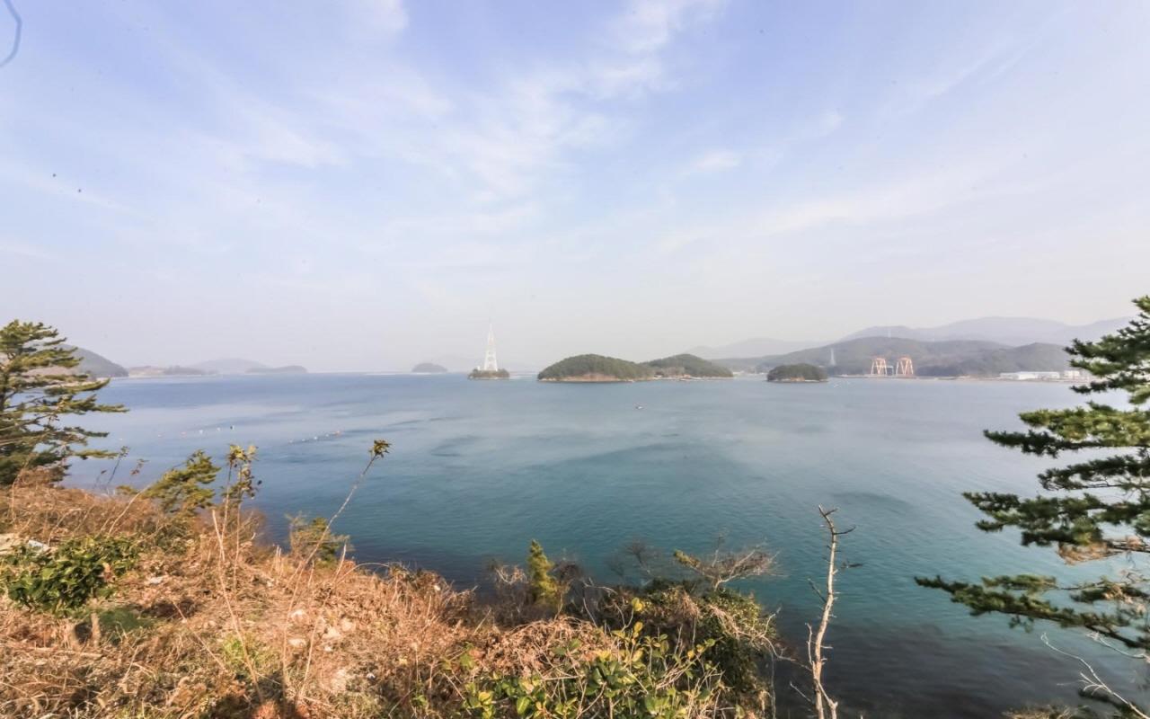 대표 사진
