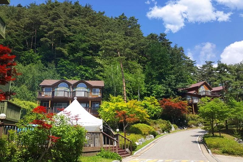 대표 사진