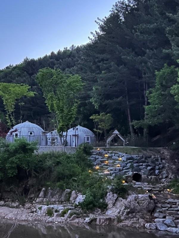 대표 사진
