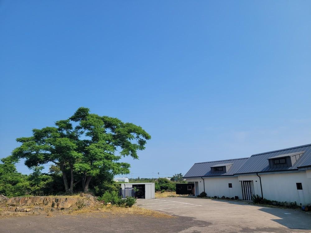 jeju jamjanun bike dokche pension-2