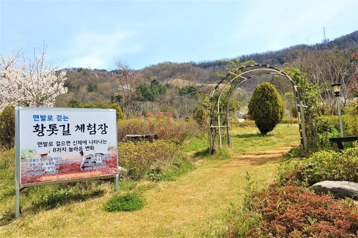 대표 사진