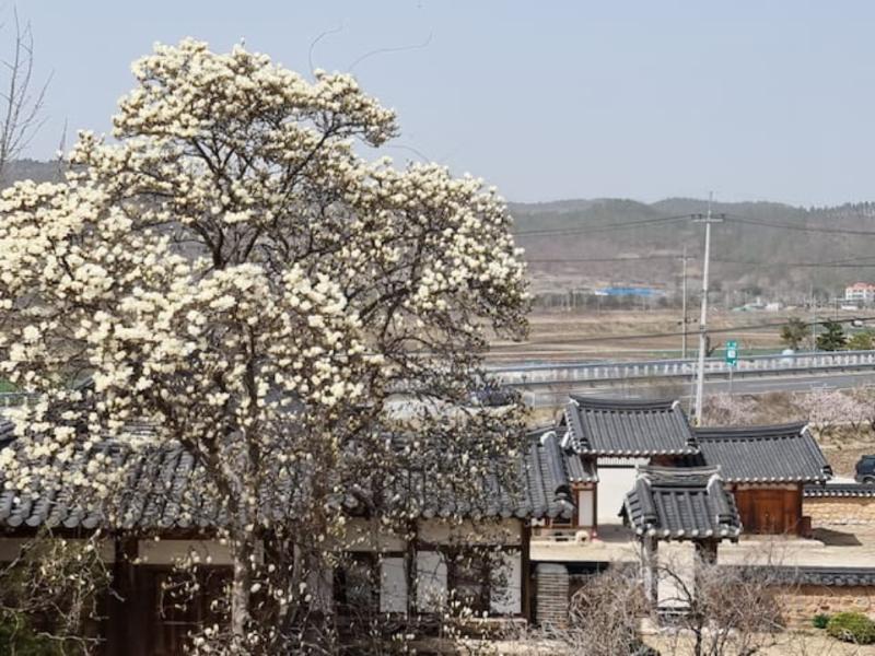 숙소 시설