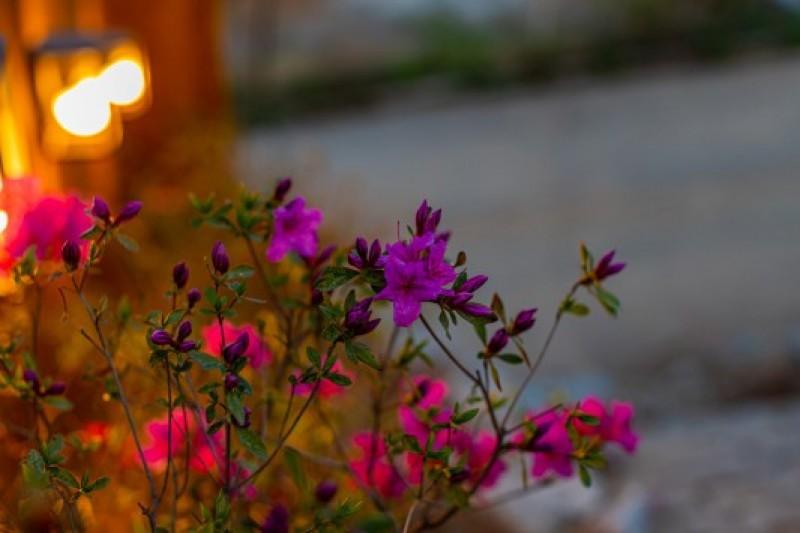 Gapyeong Seravi Pool Villa-51