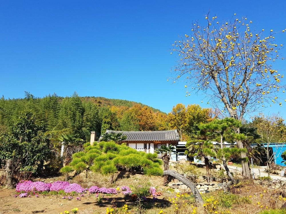 Gangjin Dahyangsocug-13