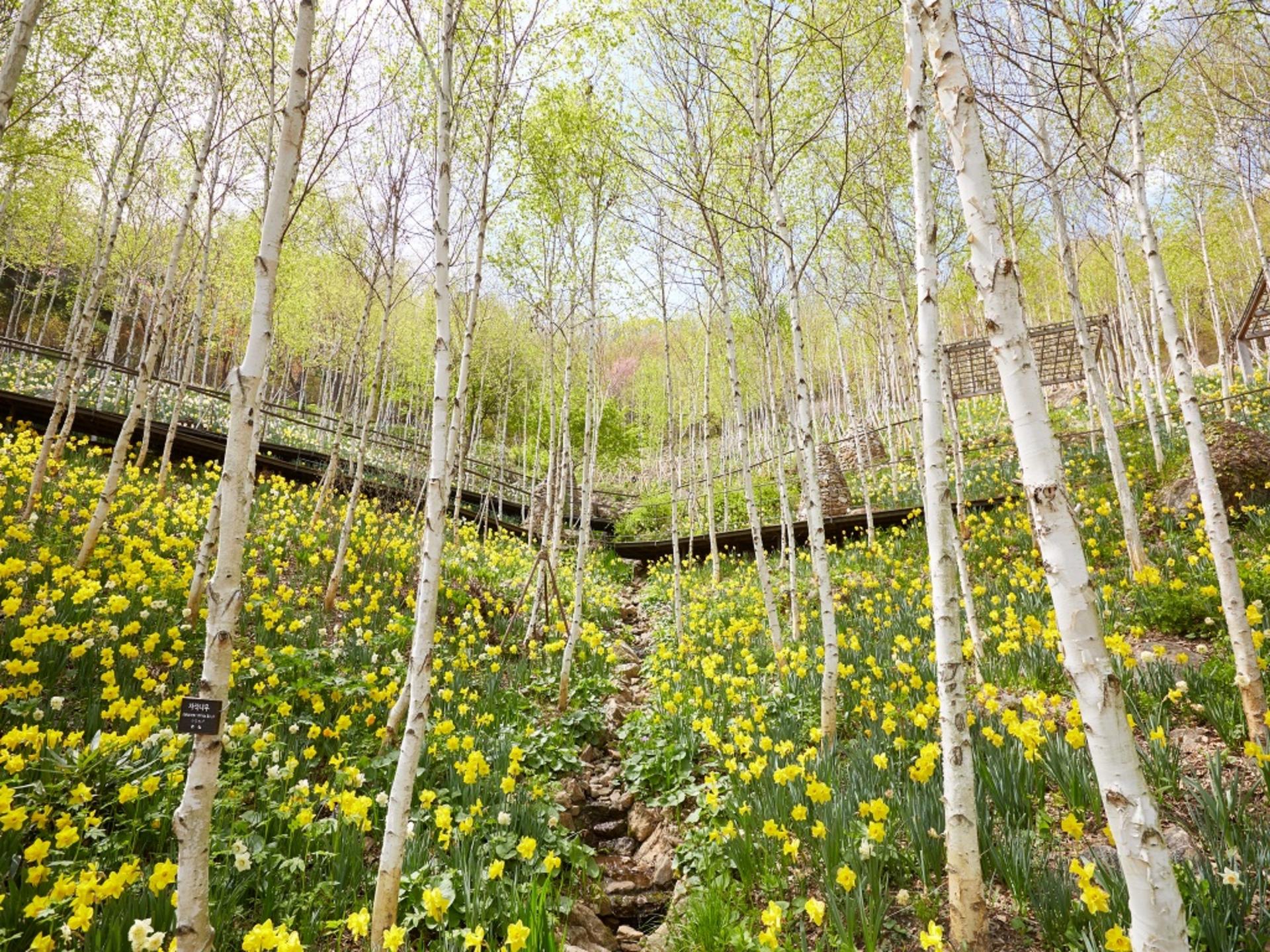 Gonjiam Resort-6