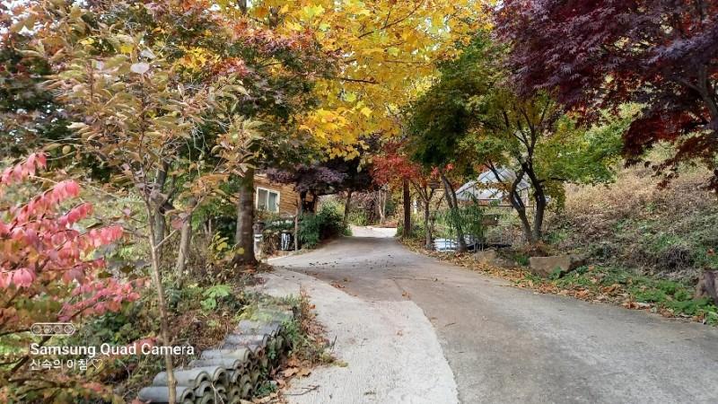 숙소 시설