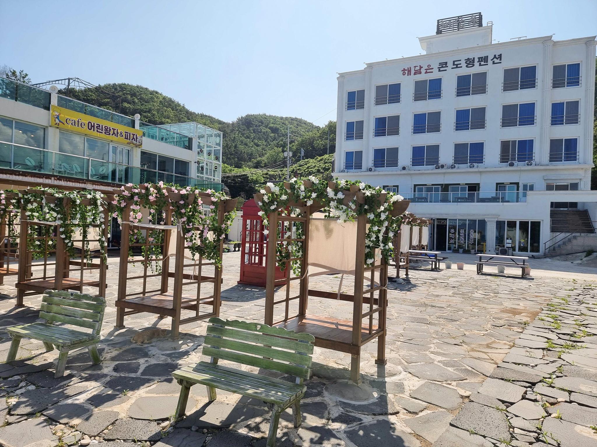 대표 사진