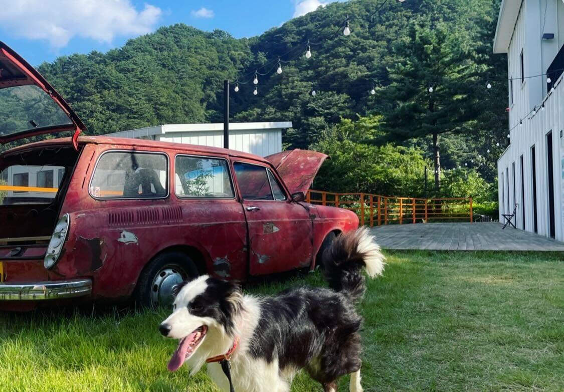 대표 사진