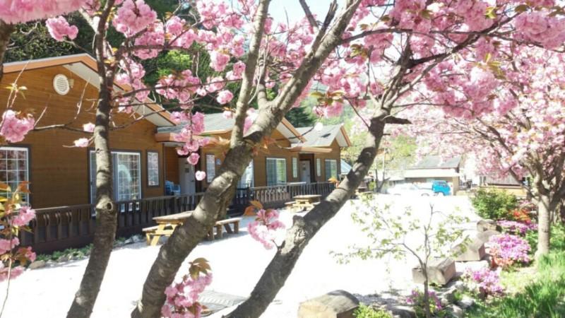 Gangneung Woojin Hwangto Pension