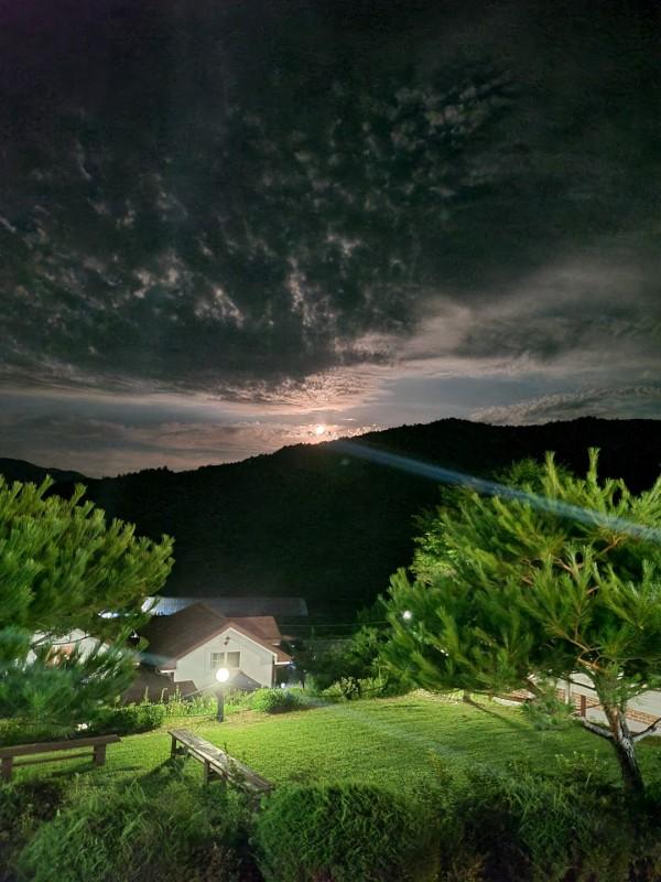 대표 사진