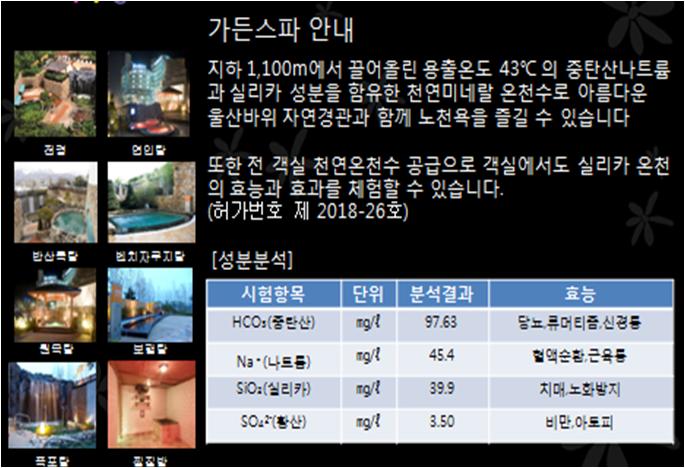 대표 사진