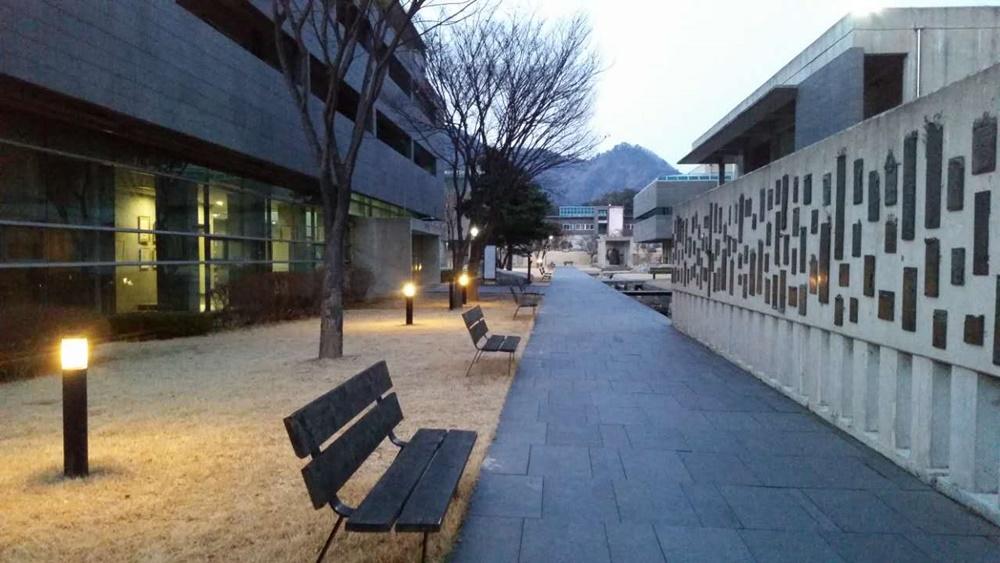 대표 사진