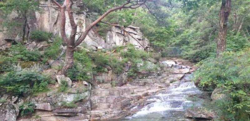 대표 사진
