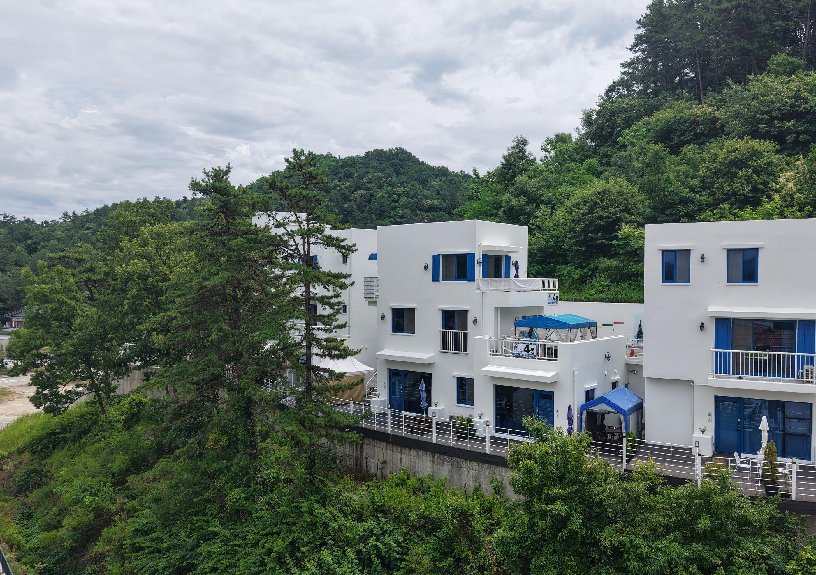 대표 사진