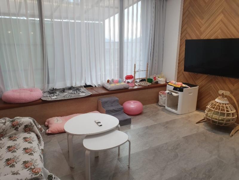 대표 사진