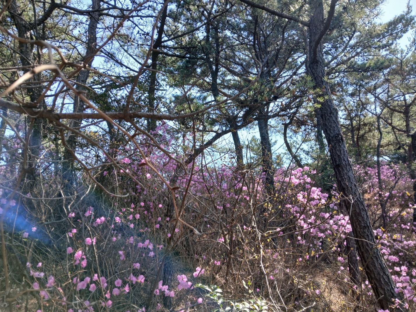 숙소 시설
