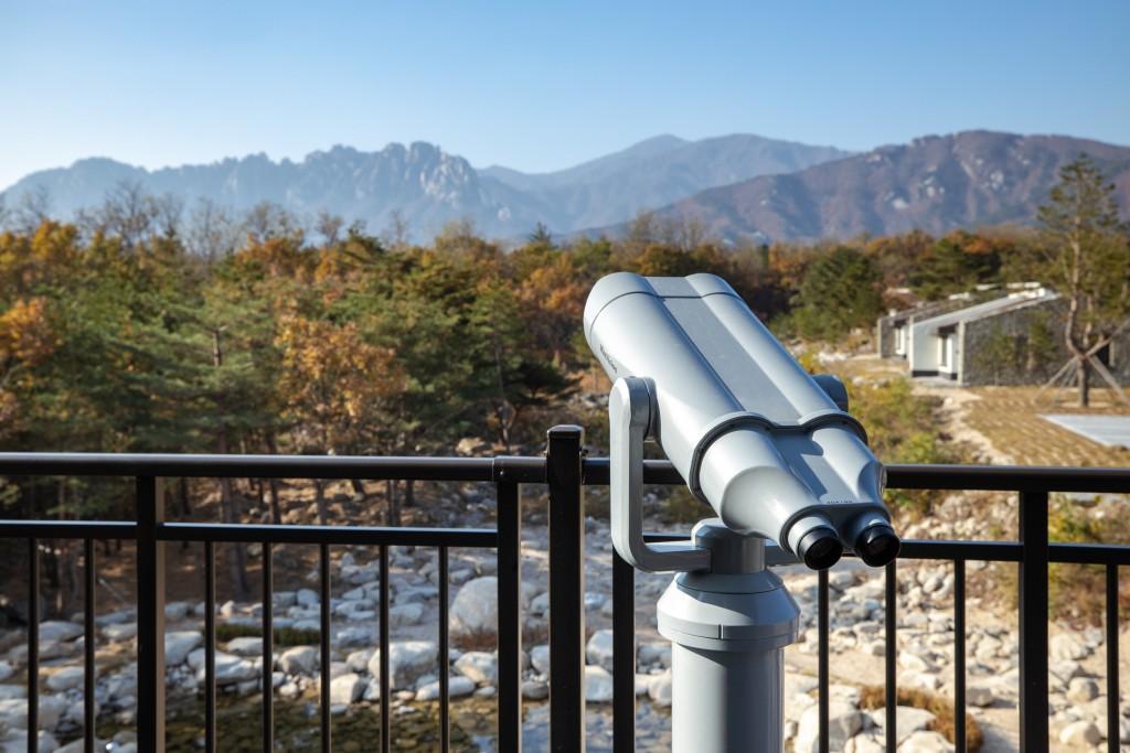 대표 사진