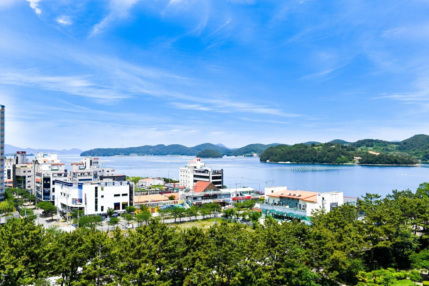 대표 사진