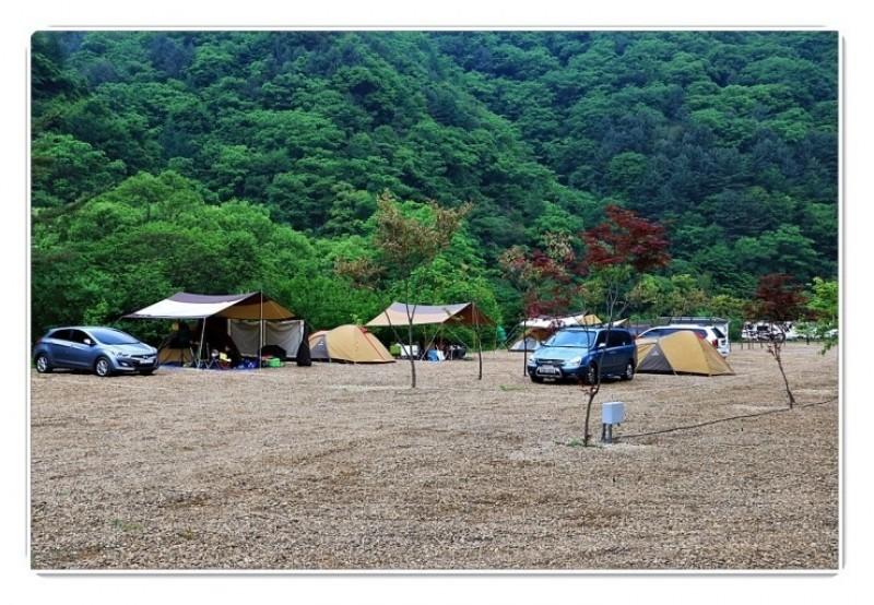대표 사진