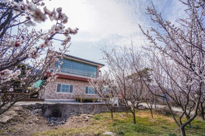 숙소 시설