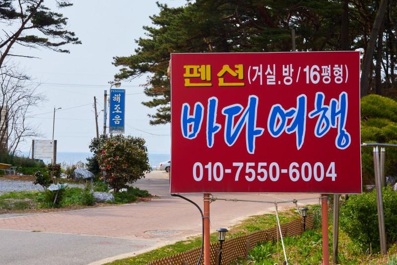대표 사진