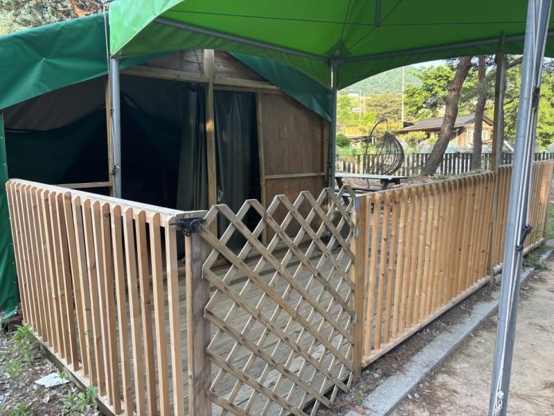 대표 사진