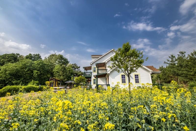 Jecheon Cheongpung Heart Lake Pension
