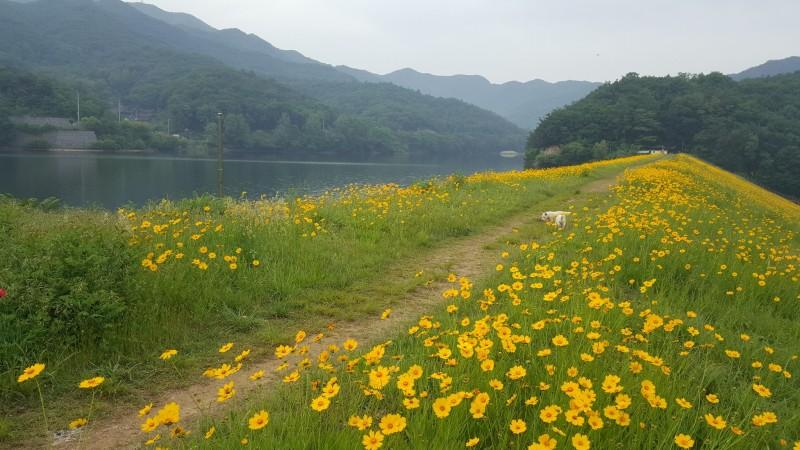 숙소 시설