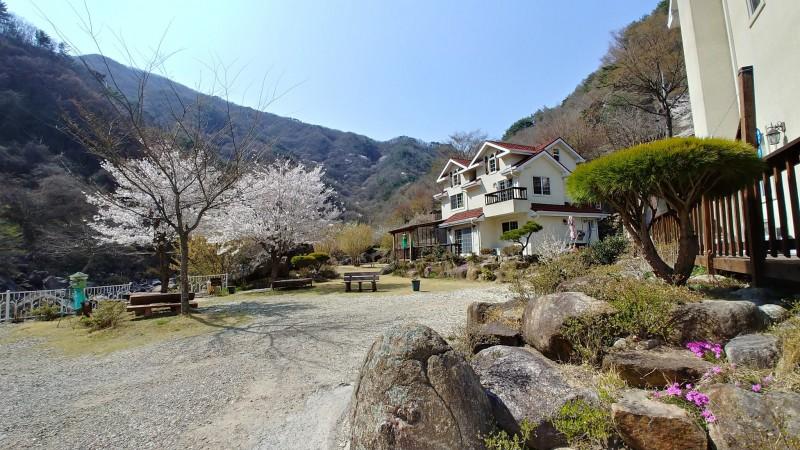 대표 사진