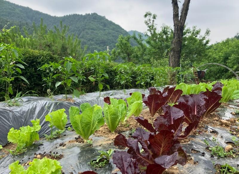 Gapyeong Rest Pension-14