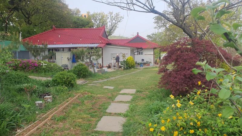 Ganghwado So Tree Farm Pension