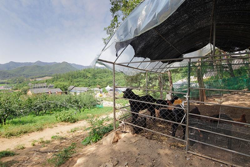 숙소 시설