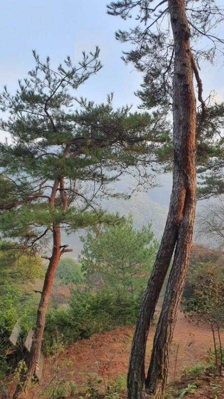 숙소 시설
