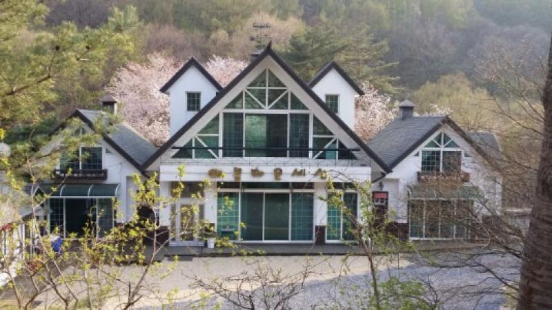 대표 사진