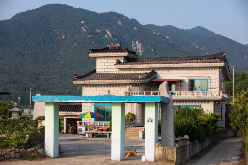 대표 사진