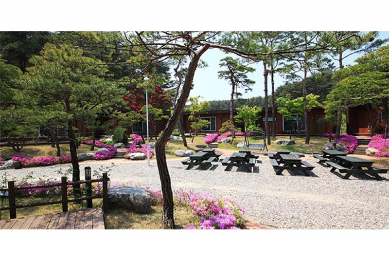 숙소 시설