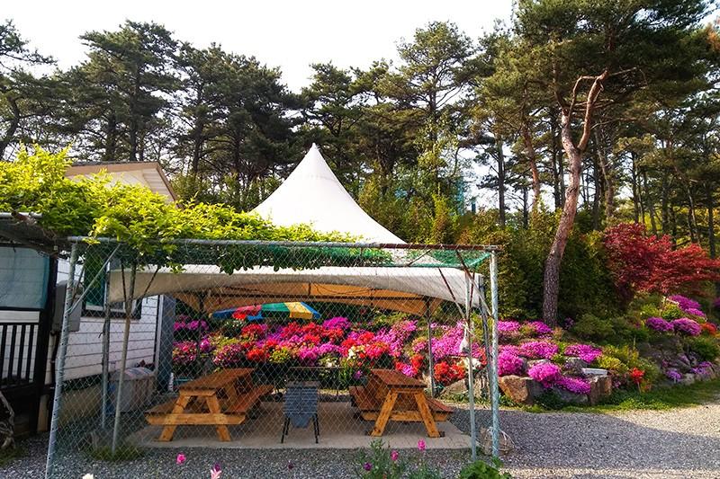 Yongin Byeolbaragi Pension-35
