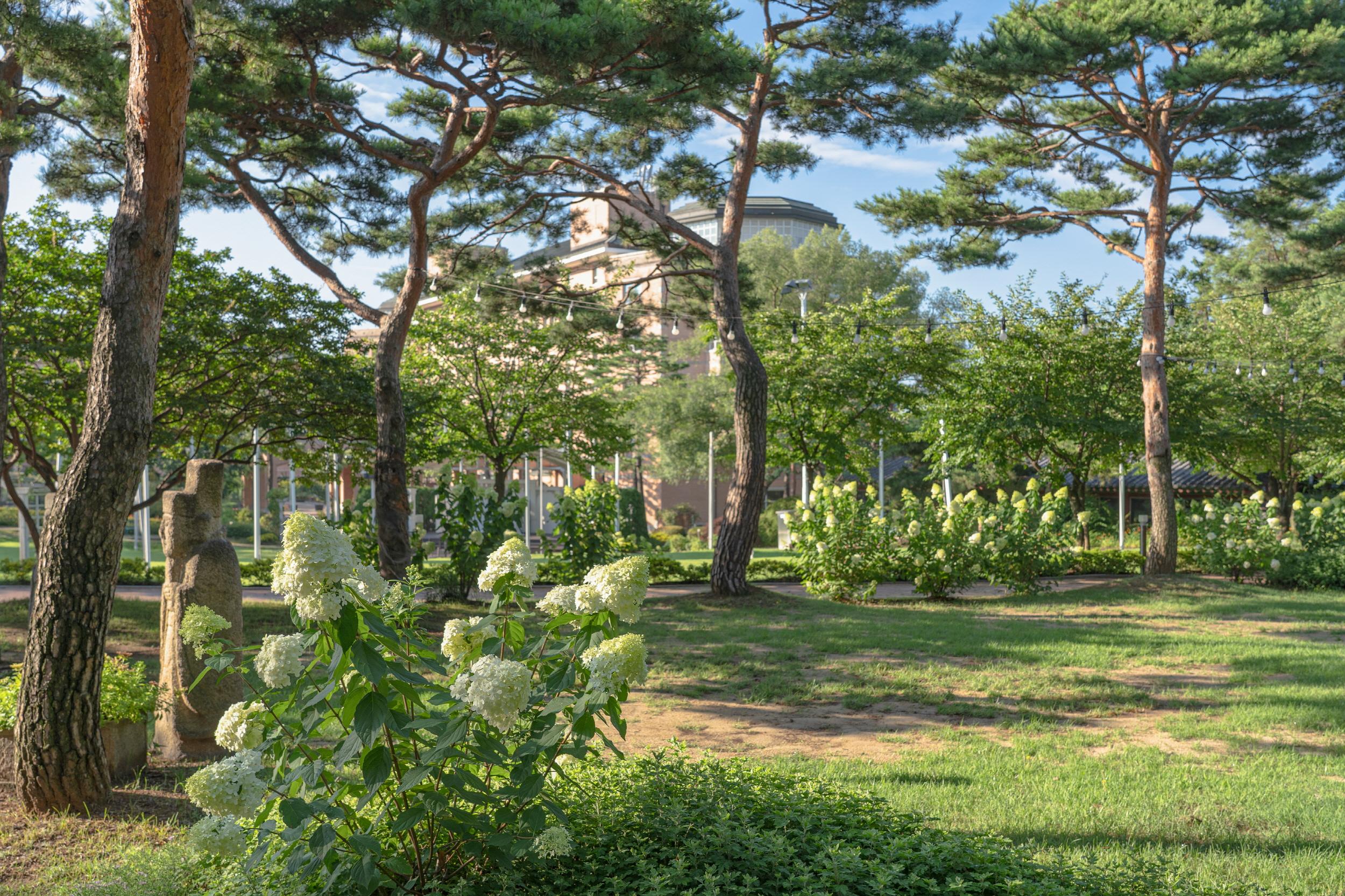 Mayfield Hotel Seoul-13