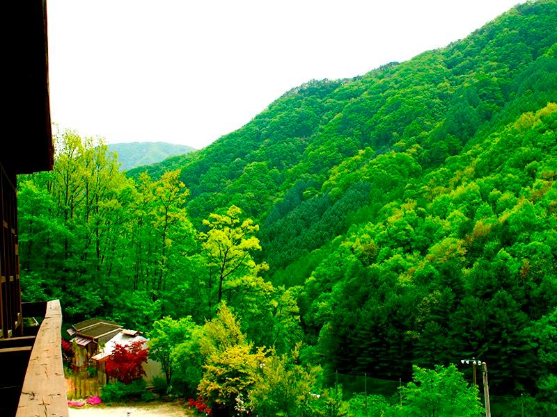 Gapyeong Purun Valley Pension-59