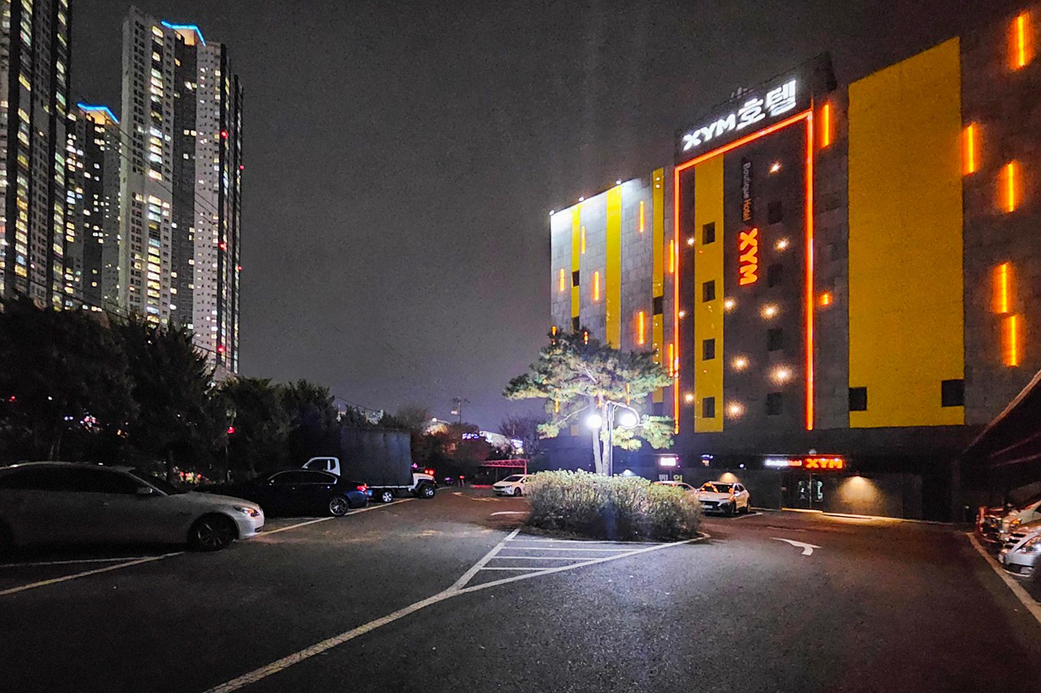 대표 사진