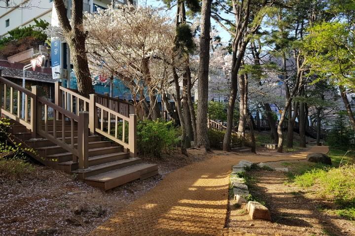 Busan Suntree Hotel-14