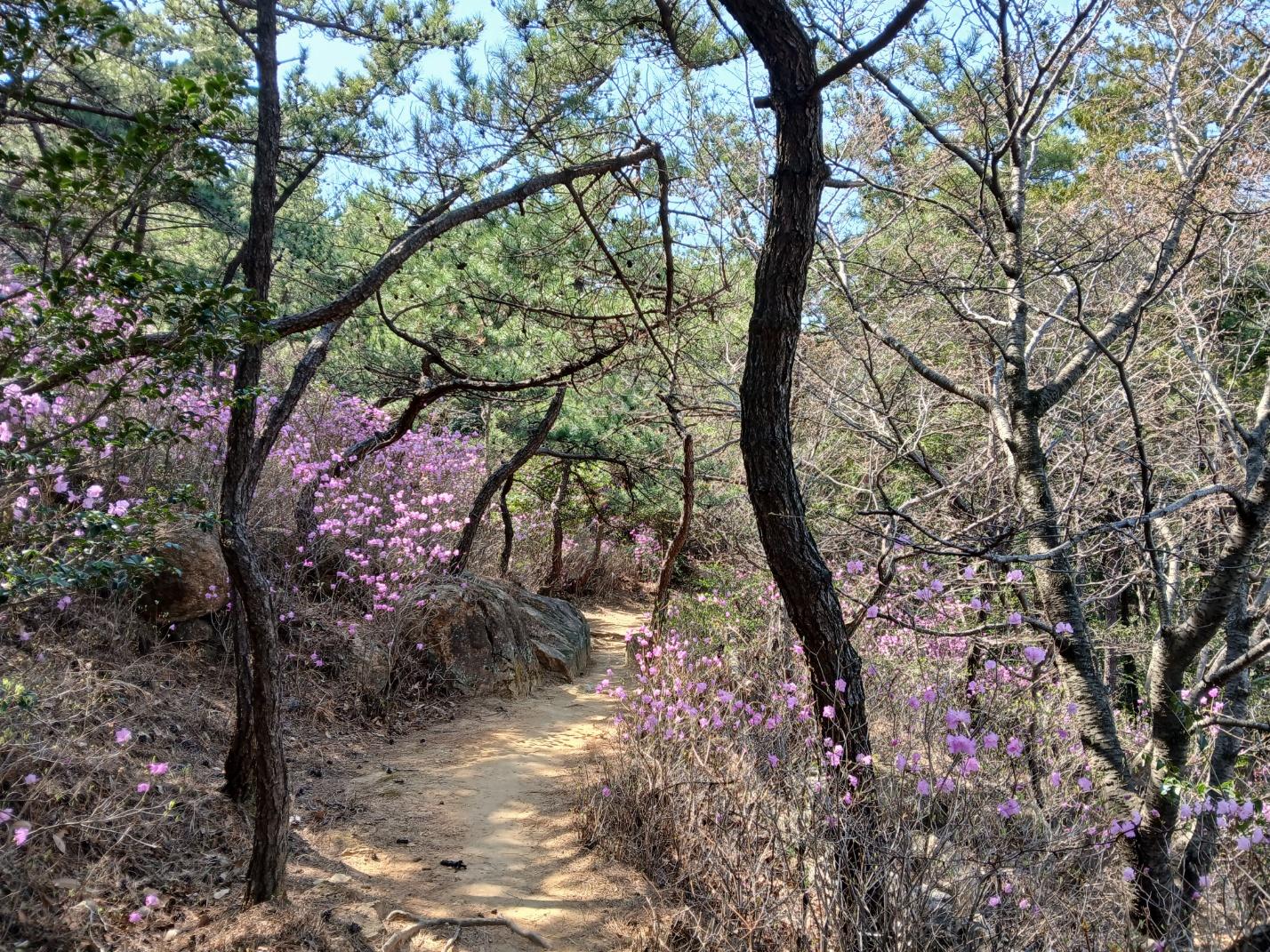 숙소 시설