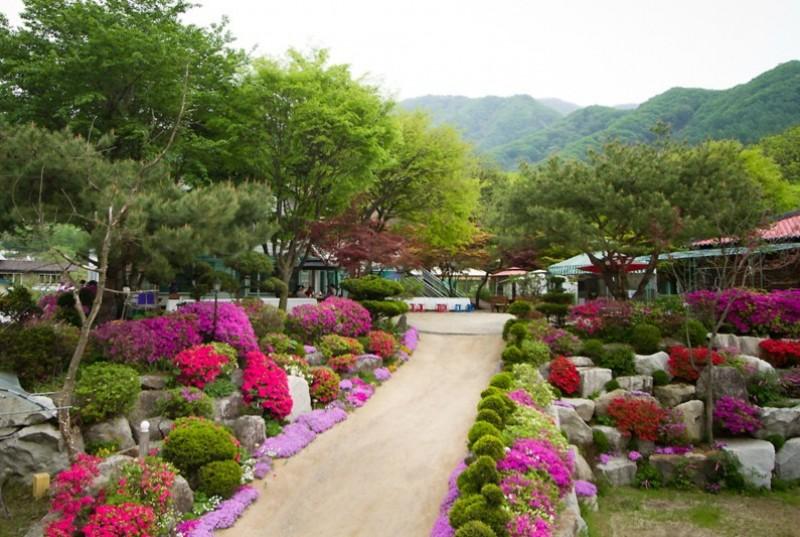 Gapyeong Flower Muji Pension (near the valley)-75