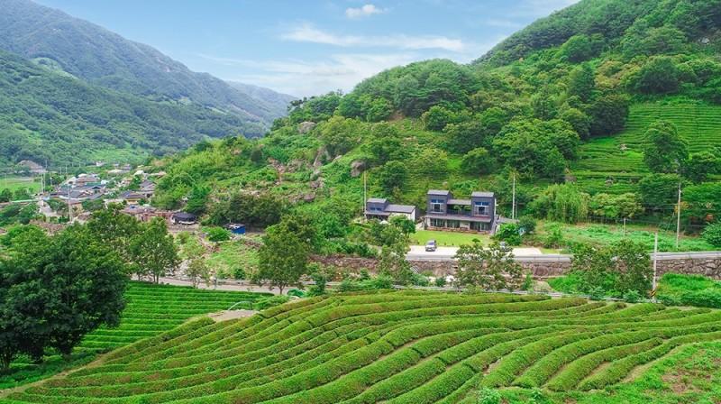 대표 사진