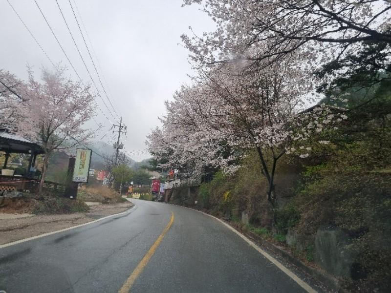 Yangpyeong Bicycle Pension (former hometown of jazz-group workshop-)-24