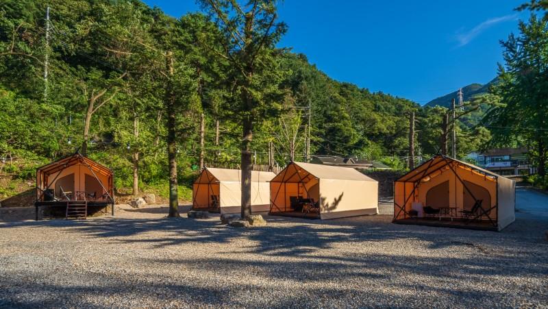 Gapyeong Tiger Camping-19