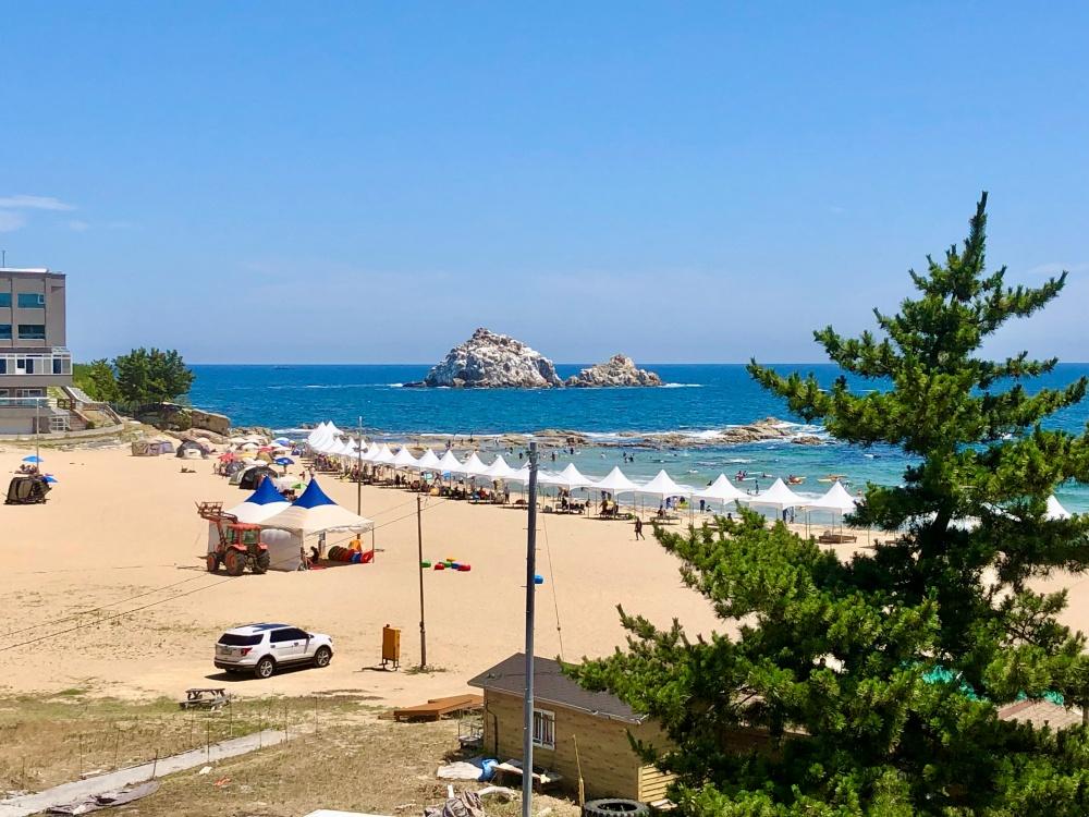 대표 사진