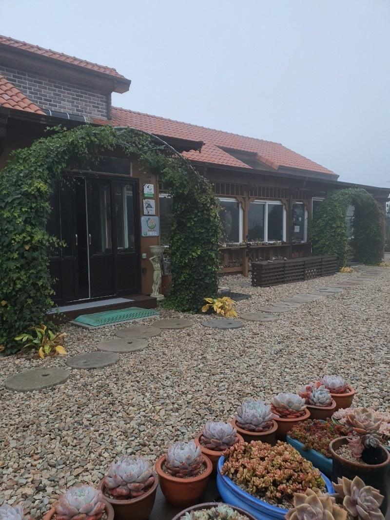 Ongjin (Baengnyeongdo) Noble-3